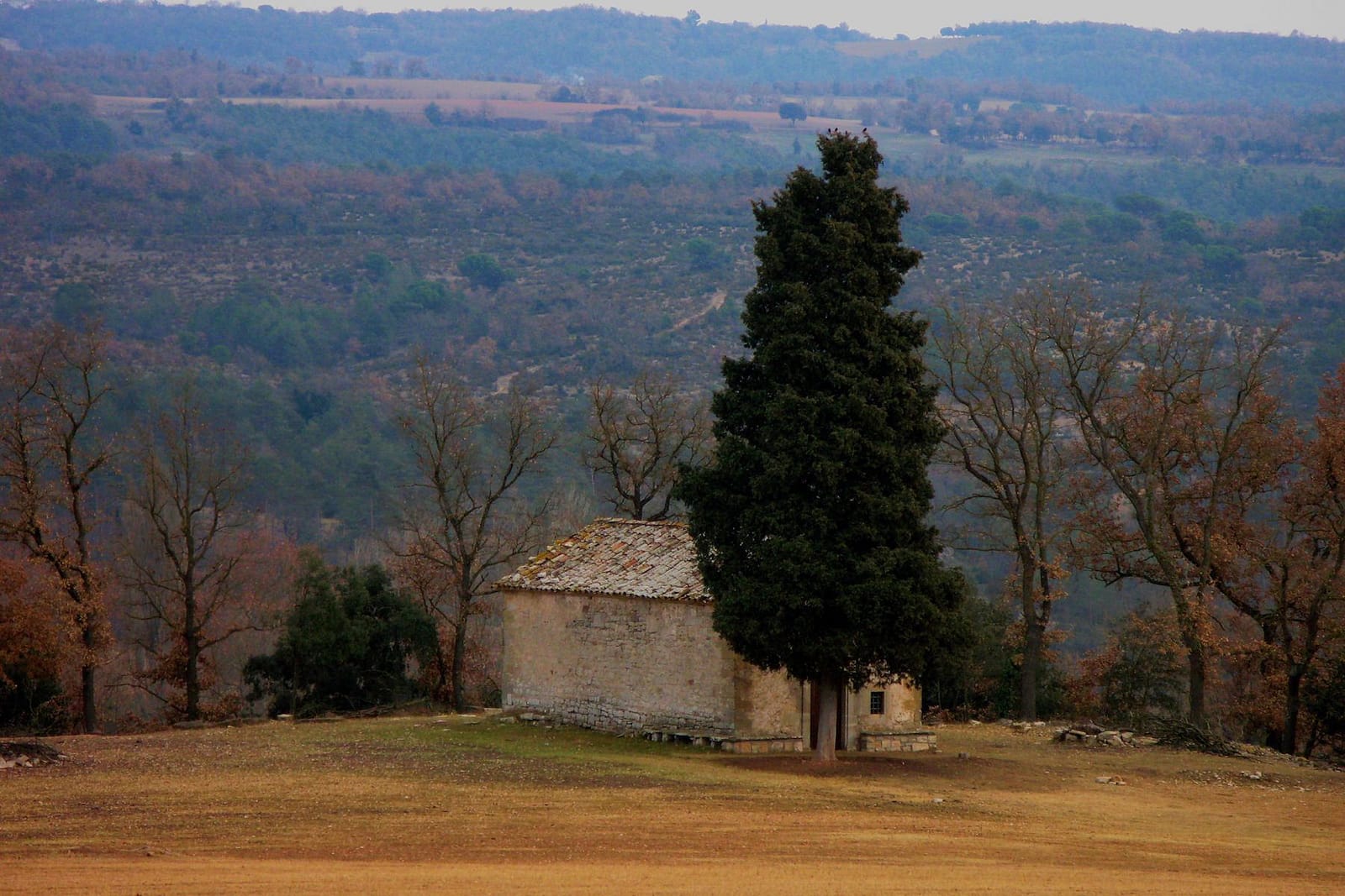 L'ermita de Sant Jaume de la Coma amb el seu xiprer